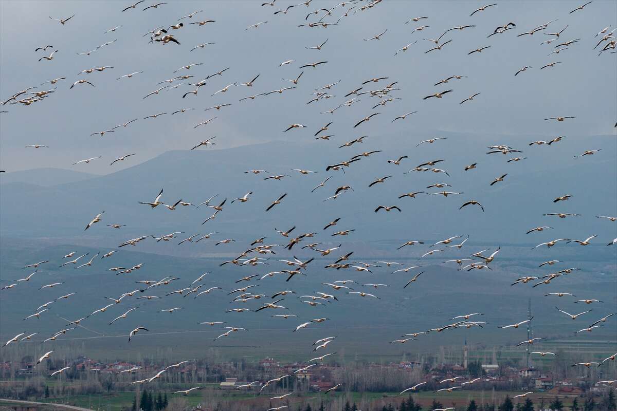 Konya’nın ünlü gölünde kuraklık sonrası sevindiren dönüş 6